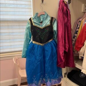 Princess Anna Costume